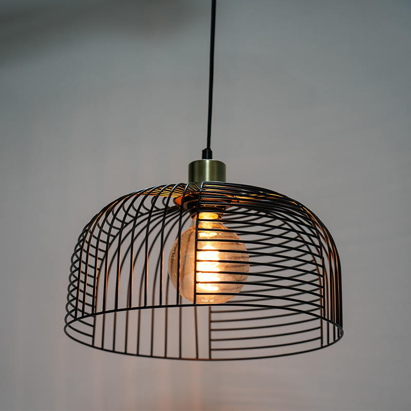 Birdcage lux lucem stillante ferrum Chandelier